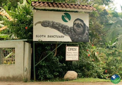 sloth sanctuary costa rica location